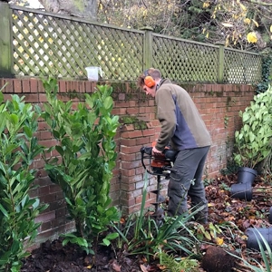 Hedge being trimmed