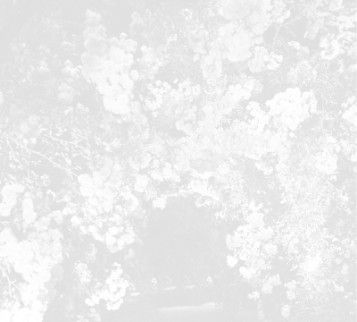 Abstract monochrome shrubs